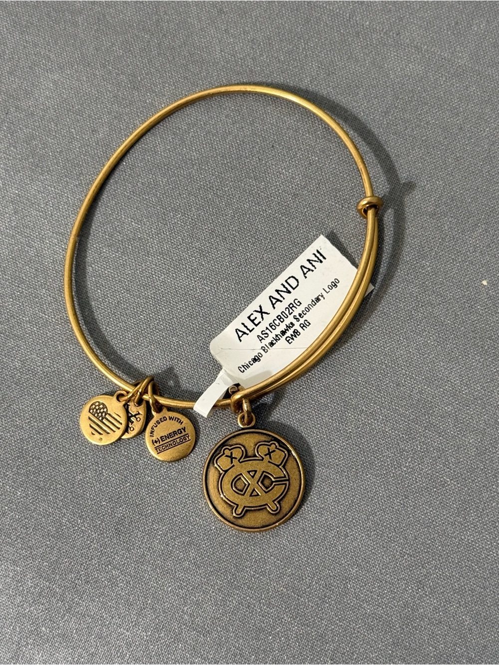 Alex and Ani Antique Gold Charm Bangle Bracelet
